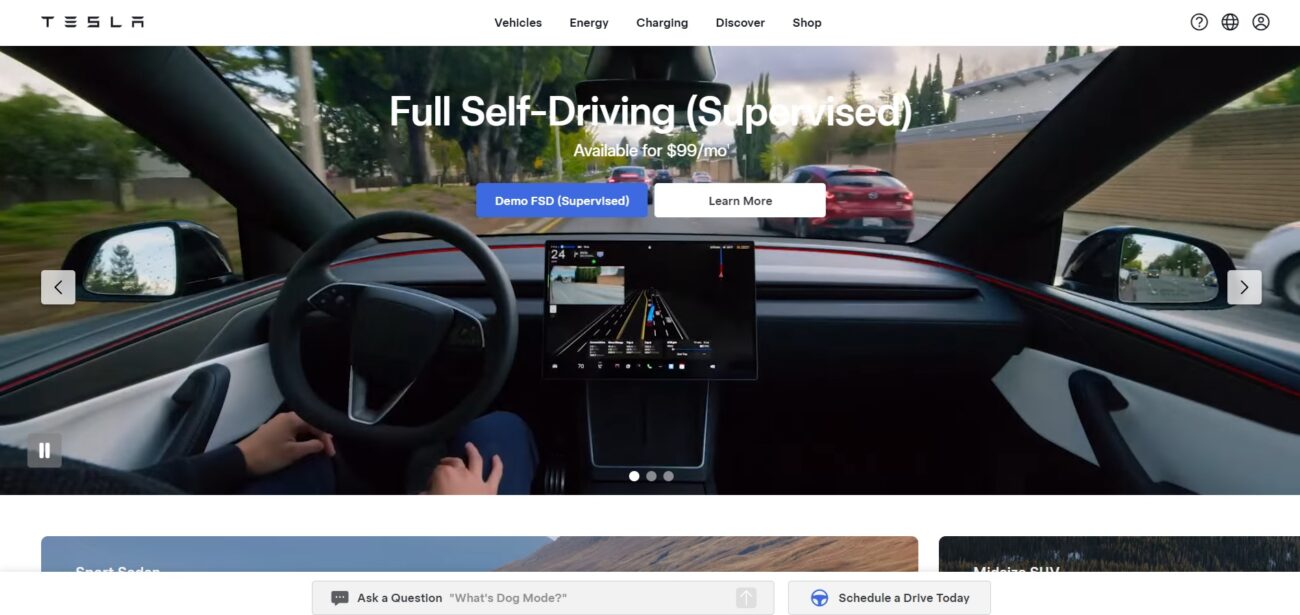 tesla for good brand strategy example